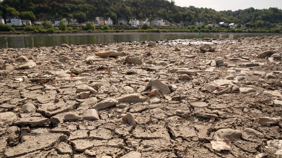 Green Economy: Fünf Aktien für eine robustere Welt