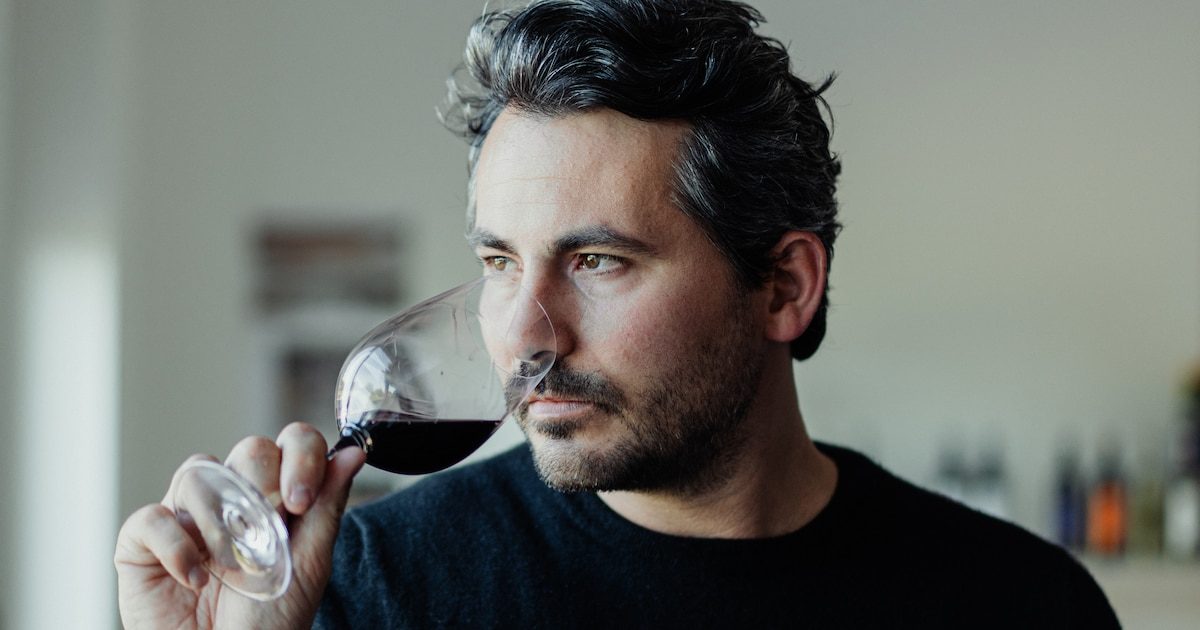 Foire aux vins : l’envol de Tour des Termes