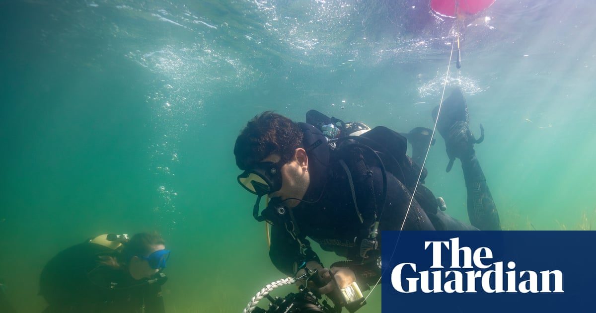 ‘Inredibly enouraging’: healing the scars of traditional anchors in Dorset’s seagrass meadows
