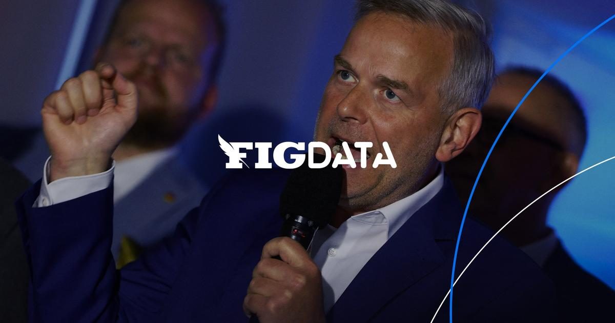 Élections régionales en Allemagne : comprendre les nouveaux succès de l’AfD en infographies