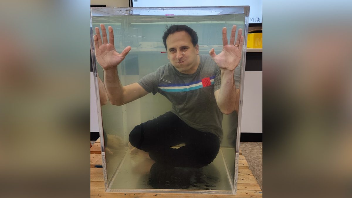 Genialer Unterricht - Dieser Lehrer erklärt Physik aus dem Aquarium