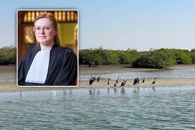 CEO voor rechter wegens verkrachting van ex-medewerkster (24) in Senegal: “Nu zeggen dat je niet wilde, is unfair”