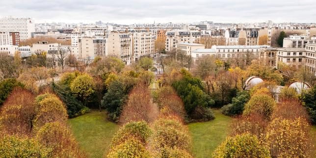Festival du Monde : L’Observatoire de Paris donne à voir la science à ciel ouvert