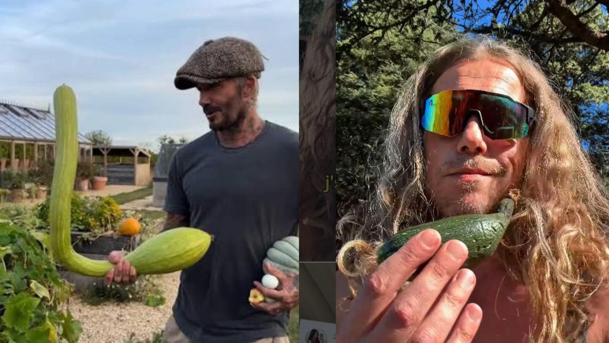 « Sois humble » : Julien Doré interpelle David Beckham… avec une courgette