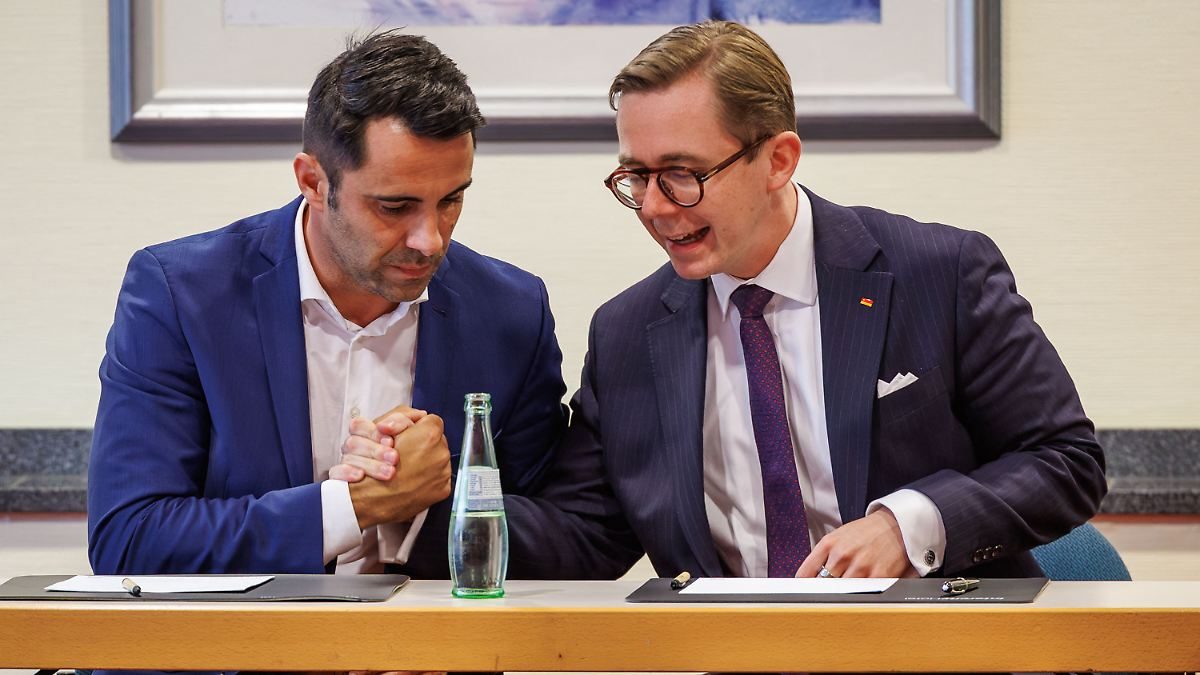 Konsequenzen nach Wahldebakel: Mecklenburg-Vorpommerns CDU-Chef Peters tritt ab - Amthor übernimmt