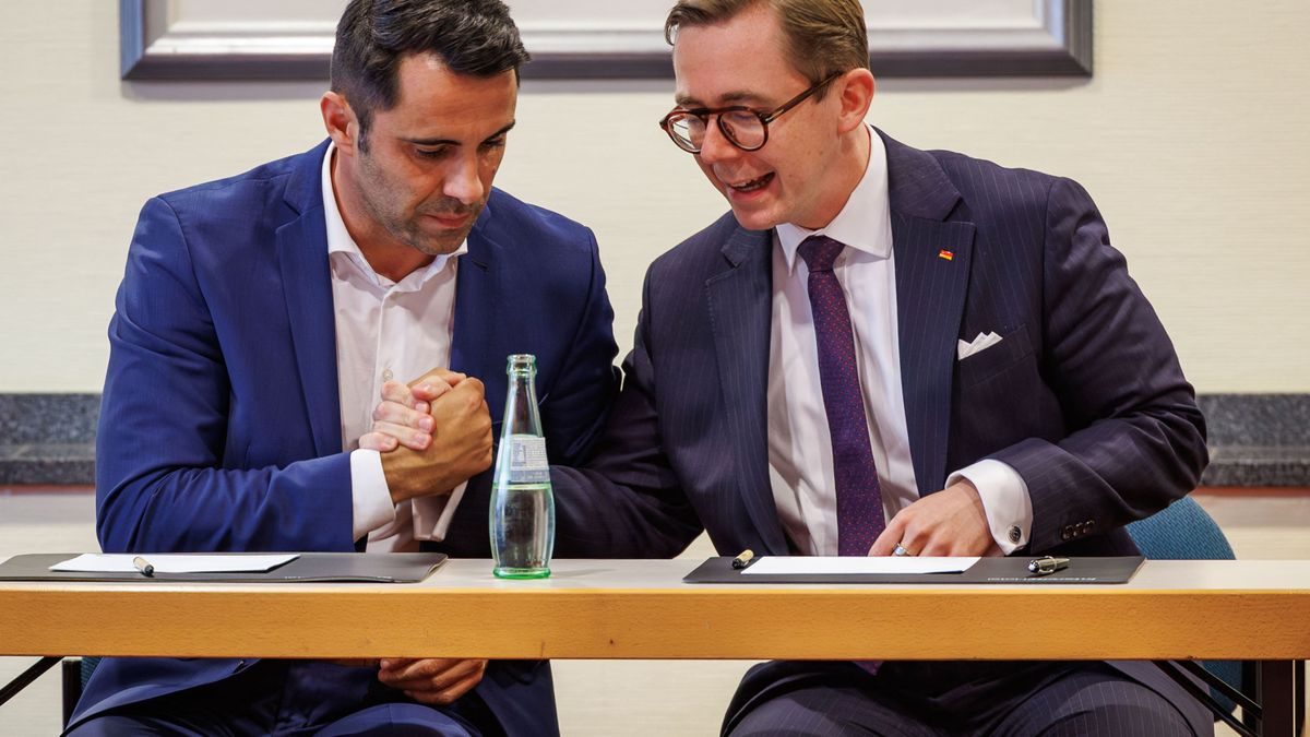 Wahl in Mecklenburg-Vorpommern: CDU-Chef Peters geht, Amthor rückt nach