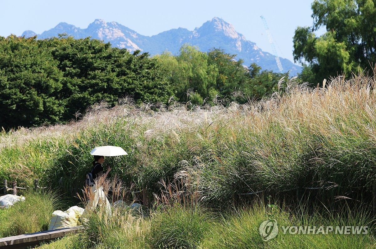 맑고 쾌청한 가을 날씨…오전 내륙 안개 주의