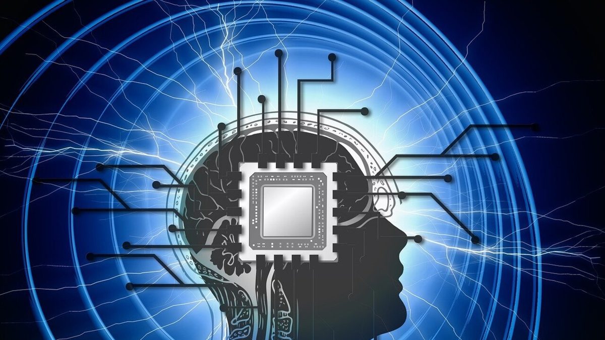 Dieta e cervello, troppi grassi alterano la memoria in poche settimane