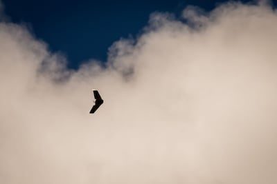 Mogelijke dreiging vastgesteld in Lets luchtruim: NAVO-gevechtsvliegtuigen opgestegen