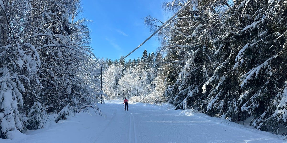 Beslutet: Nu blir det avgift i skidspåren
