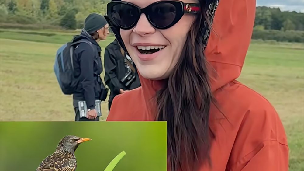 Ikkimel veranstaltet Birding Date mit Nabu