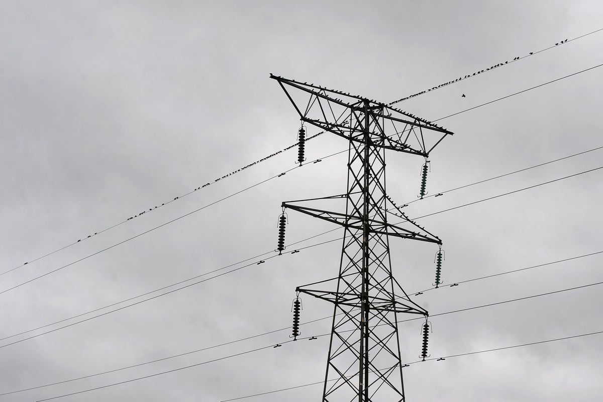 Household electricity bills could fall if time-varying prices promoted – report
