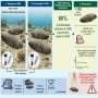 Centenarian sea cucumbers at risk of overfishing