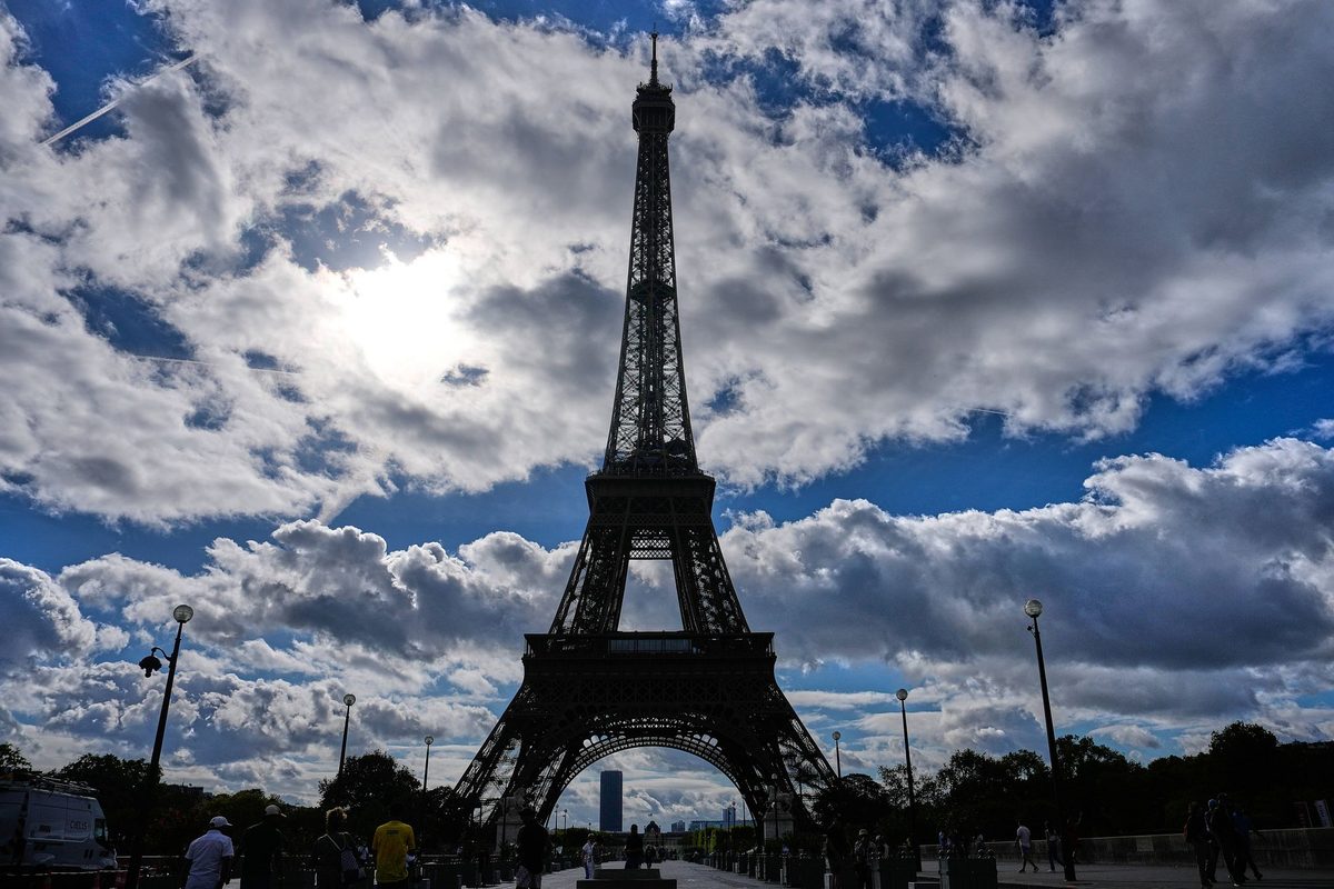 75 katter funnet i Paris-leilighet