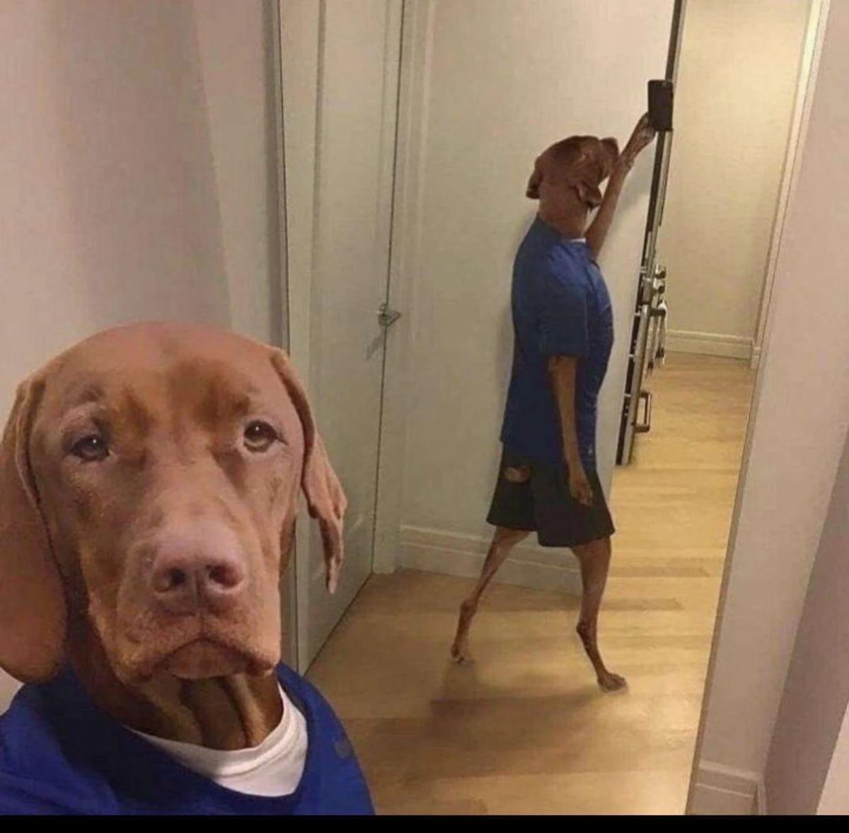 Daily pic of me