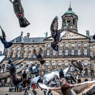 Opinie: ‘Loopt er weer een toerist in de weg? Laat je niet opfokken, maar maak er voor jezelf iets leuks van’