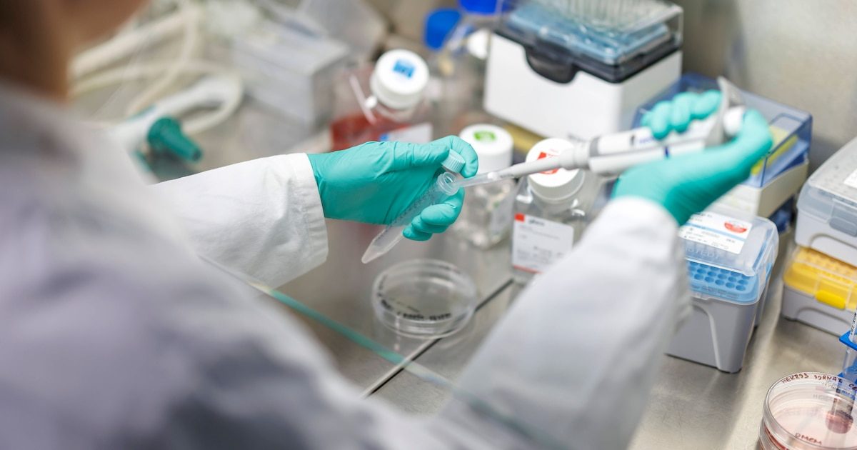 Biotechs : le plan de l'Europe pour concurrencer les Etats-Unis et la Chine