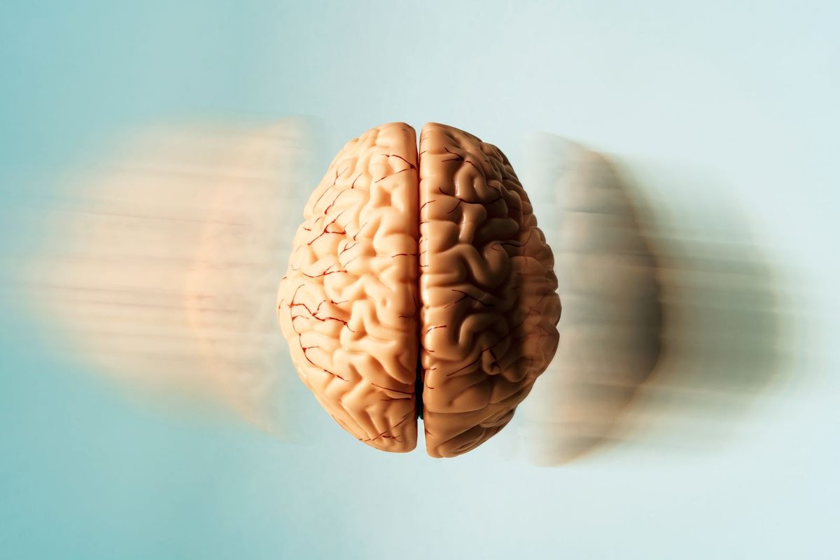 The Brain Shrinks as We Age and During Major Transitions. But Surprisingly, It Seems to Take a Break From Rewiring Duri…