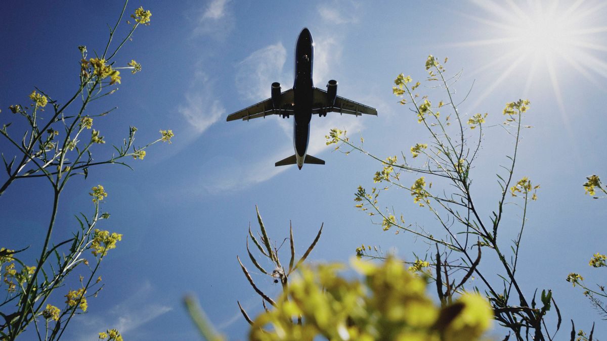 DLR: Neuartiger Motor mit magerer Verbrennung macht Fliegen klimafreundlicher