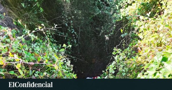 Los bomberos rescatan a un perro que cayó en una sima de una mina en Cabárceno