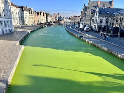 "Dit heb ik nog nooit gezien": Gentse binnenwateren kleuren felgroen, toeristen­boot­jes krijgen problemen