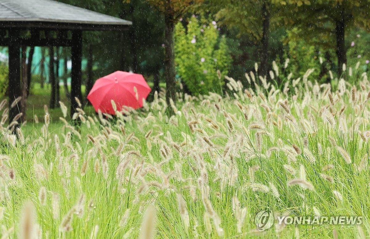 강원 동해안·산지 흐리고 비…내륙 25∼28도