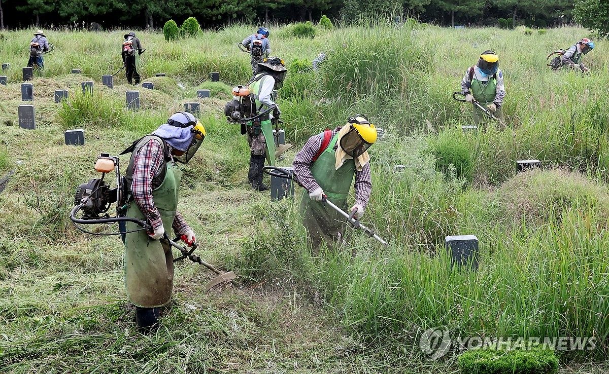 가을 산행·벌초 벌 쏘임 주의…부산 9월 가장 많이 발생