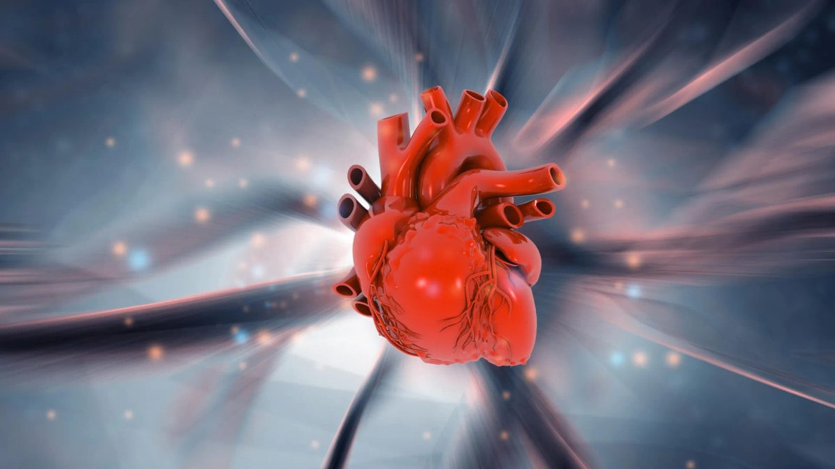 Scientists discover the human heart can regrow muscle after a heart attack