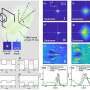 Light beam 'swims' upstream through a quantum fluid by violating Newton's third law