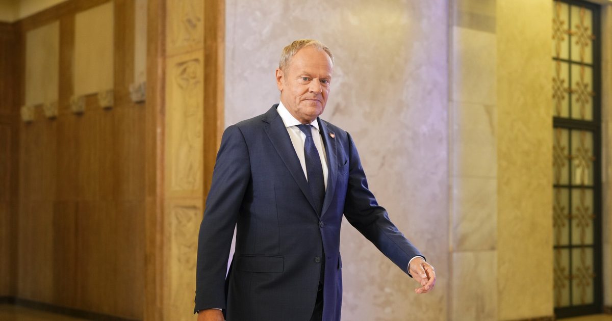 "Polski Starlink" i "Niedźwiedź". Tusk o polskich nowościach zbrojeniowych