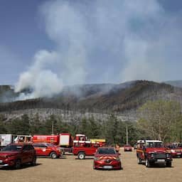 Tientallen evacuaties vanwege grote natuurbrand in Zuid-Frankrijk