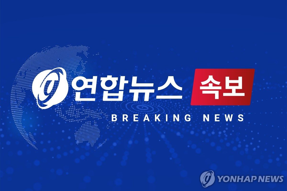 [속보] '불꽃축제' 여의나루역 무정차 통과 해제…"5호선 정상운행"