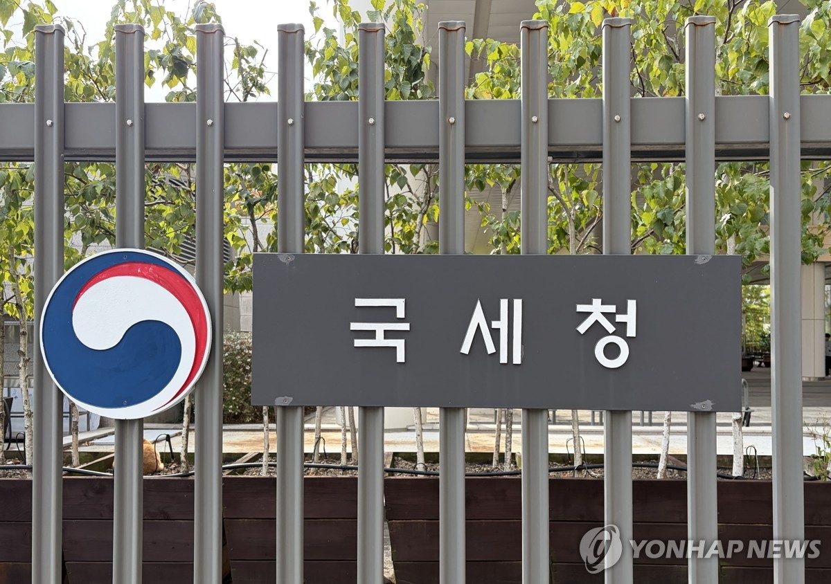 "국세청 해외계좌 미신고 제보포상 11년간 3건뿐"(종합)
