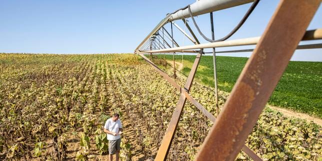 Sauver l’agriculture veut dire changer de modèle