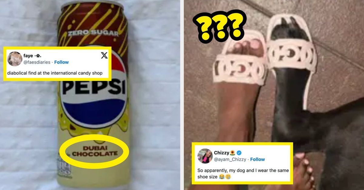 "I Wanna Grow My Bush And Donate It To The Men Who Are Balding": Literally Just 63 Very, Very Funny Tweets From This Br…