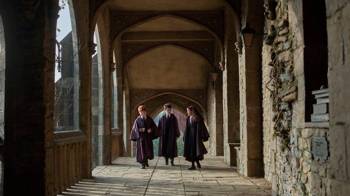 HBO's Harry Potter Reveals New Dobby and Young Voldemort Replacements