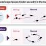 More than kinship, social isolation has a greater effect on toad tadpole behavior