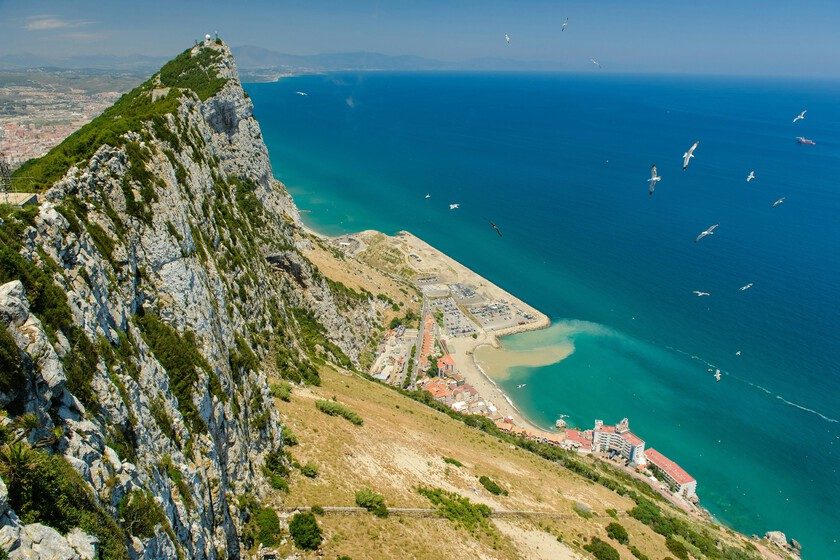 En los años 70 Gibraltar tuvo una idea para revivir la fauna y flora frente a sus costas: hundir decenas de viejos barc…
