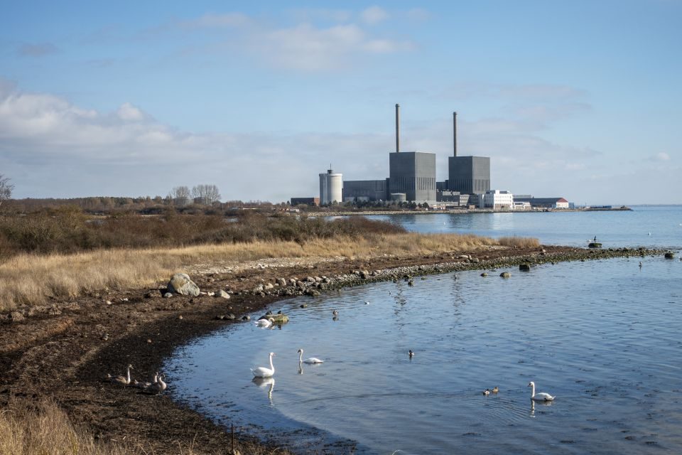 Nye planer om atomkraft tæt på Danmark: Men det afhænger af svensk valggyser