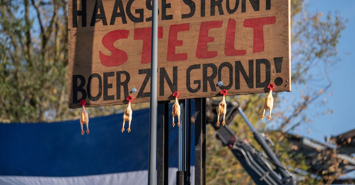 Mogelijk extra steun voor boeren die investeren in dierenwelzijn en natuur