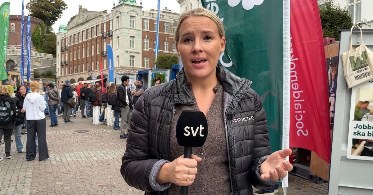 Vallokaler i Helsingborg kan ha drabbats av fel i förtidsröstningen