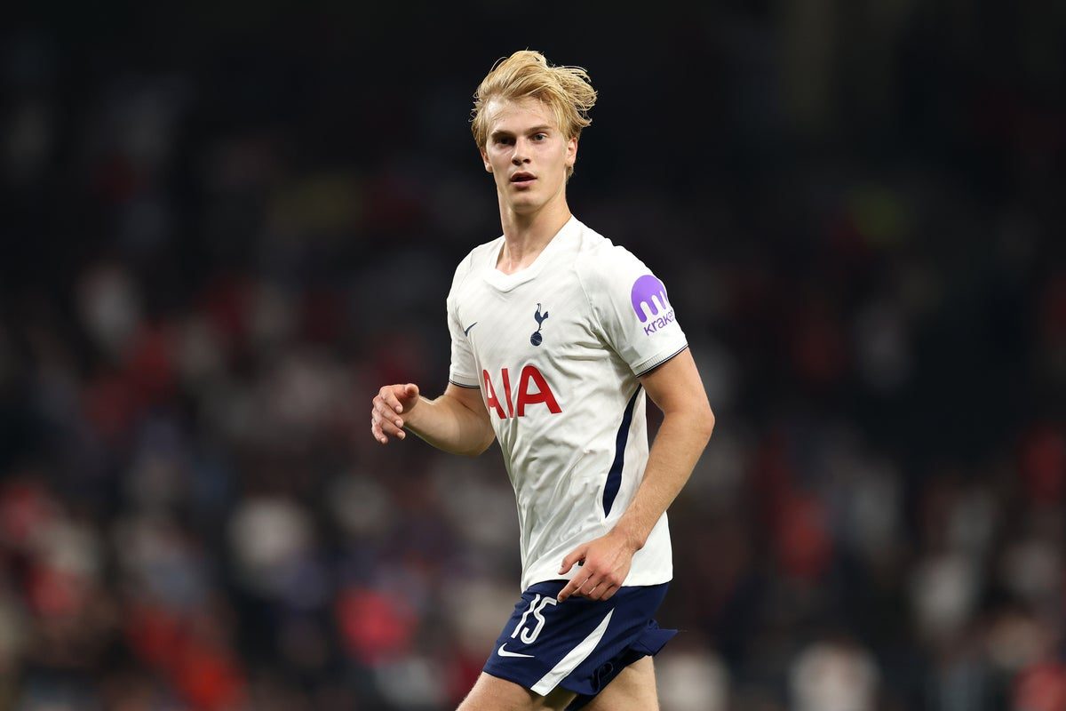 Lucas Bergvall signs new Tottenham deal to end speculation over his future