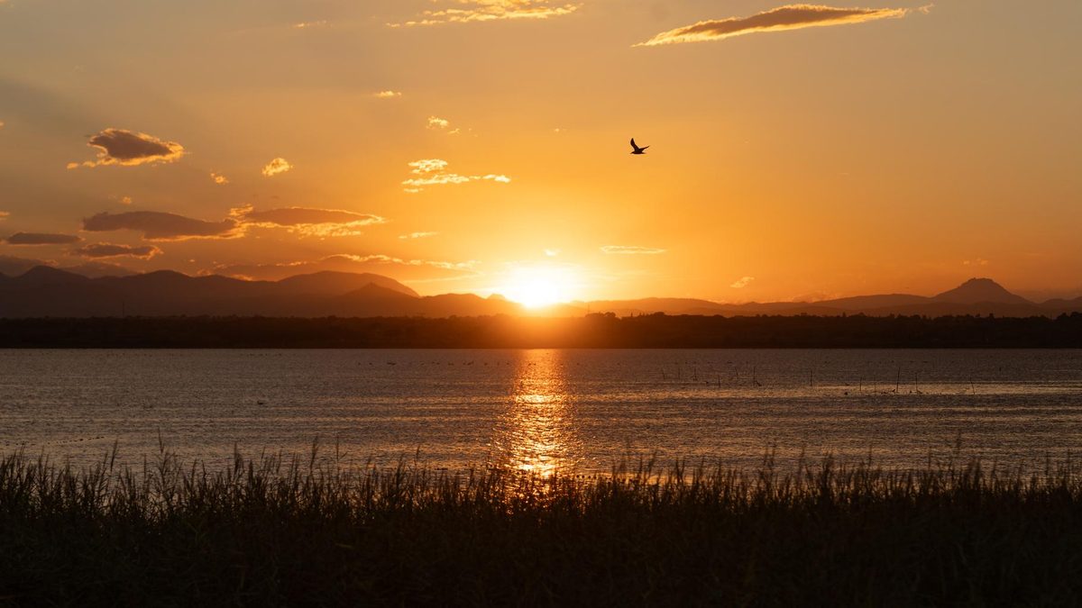 La chaleur revient ce week-end, un pic attendu en début de semaine prochaine