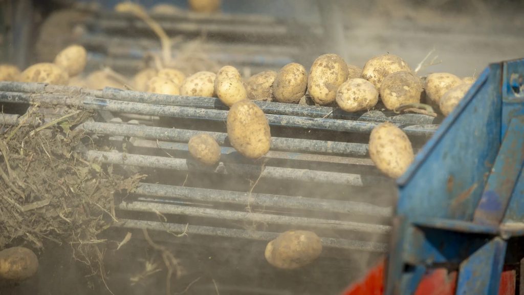 Inspectie waarschuwt: pfas in pesticiden is groeiend gevaar voor drinkwater