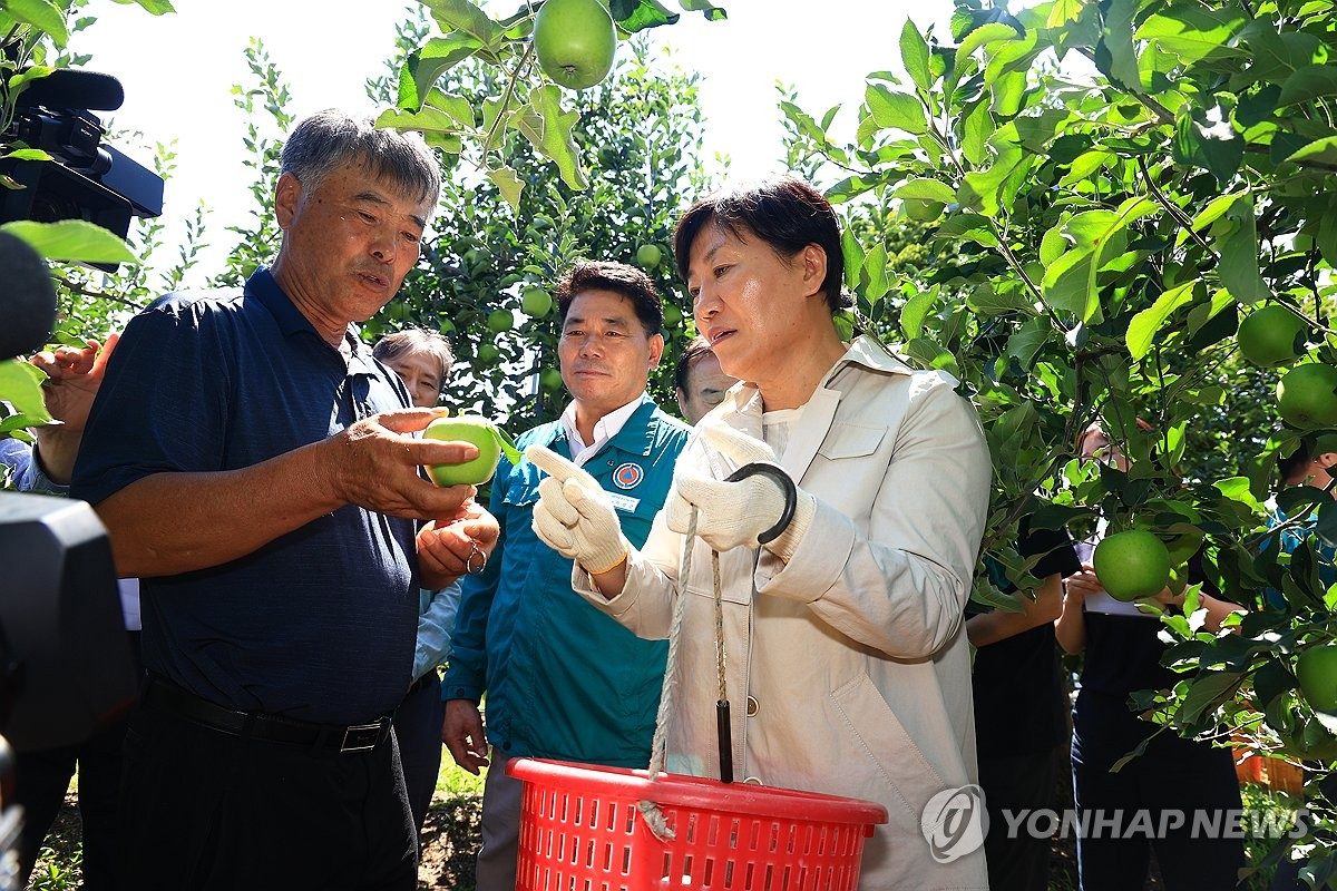 송미령 장관 "추석 성수품 공급량 1.6배 확대"…사과농장 점검