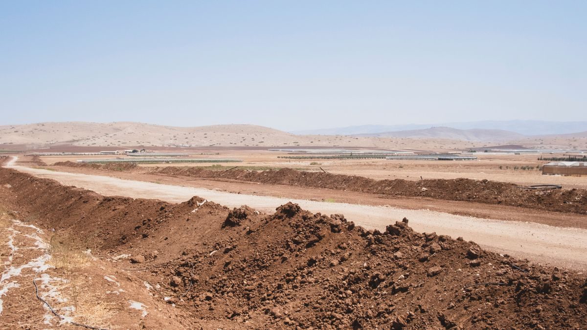 Israel baut Barriere im Jordantal: Krieg gegen die Felder, die Bäume und die Menschen
