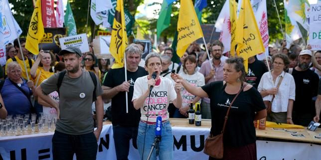 Le fonds d’indemnisation des victimes de pesticides a reçu plus de 1 000 demandes en 2025, un chiffre inédit