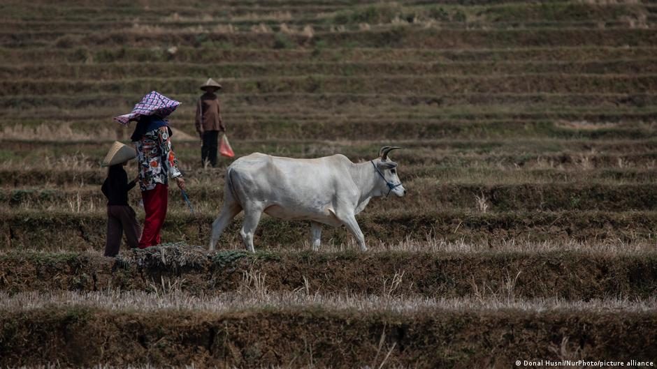 How climate change and food insecurity could fuel future conflicts