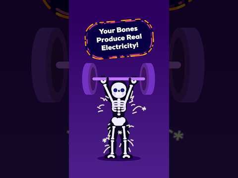 Your Skeleton Is Electric