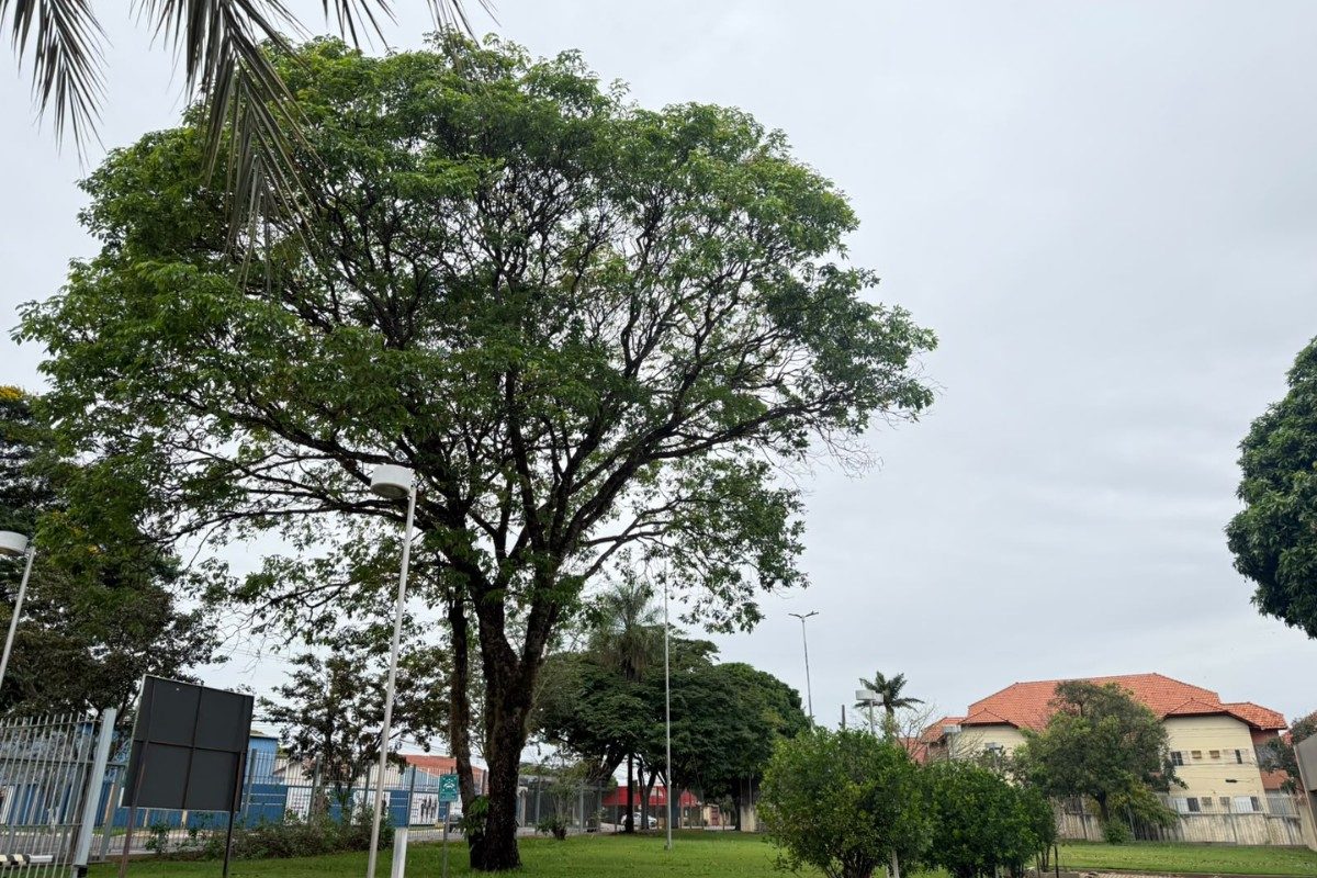Frente fria derruba temperaturas, e feriado deve ser ainda mais gelado em MS; veja a previsão
